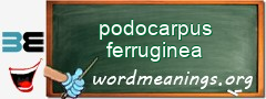 WordMeaning blackboard for podocarpus ferruginea